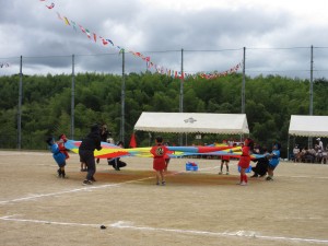 IMG_3517