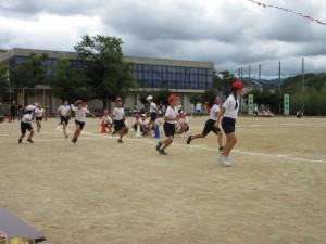 IMG_3521