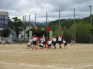 IMG_3530