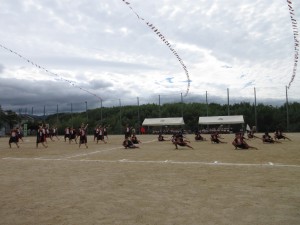 IMG_3559